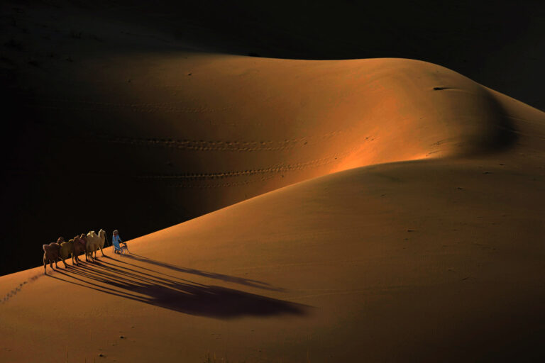 Zhu Yanqin - Returning